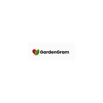 Litchi Plant - GardenGram