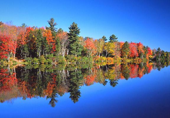 Berkshire Mountain Health