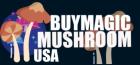 Buy Magic Mushroom USA