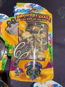 Buy Mushroom / Shrooms / premium psychedelic