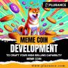 Create your lucrative meme coin with our stupendous services