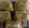 UNCUT ROUGH DIAMONDS FOR SALE