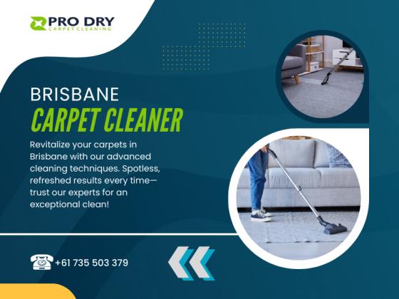 PRO DRY Carpet Cleaning