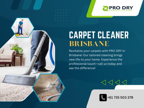 PRO DRY Carpet Cleaning